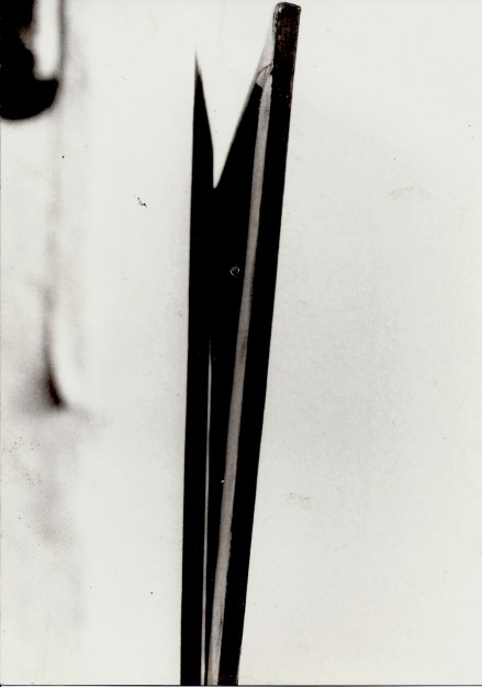 Fritz Balthaus, Netzhautablösung. Fotos von der Freien Berliner Kunstausstellung, Berlin 1984, VGBK Bonn